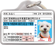 Daydream Labのプレスリリース画像19