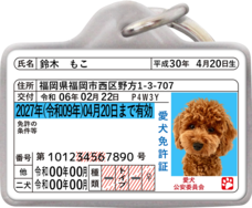 Daydream Labのプレスリリース画像17