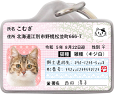 Daydream Labのプレスリリース画像18