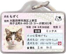 Daydream Labのプレスリリース画像11