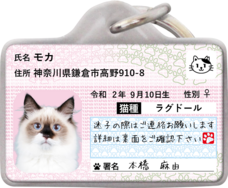 Daydream Labのプレスリリース画像5