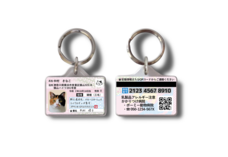 Daydream Labのプレスリリース画像15