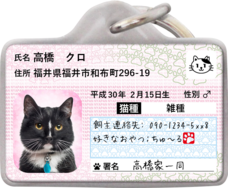 Daydream Labのプレスリリース画像2