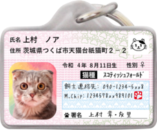 Daydream Labのプレスリリース画像3