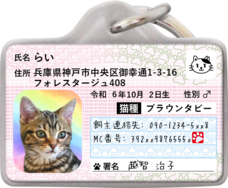 Daydream Labのプレスリリース画像8