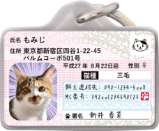 Daydream Labのプレスリリース画像6