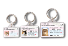 Daydream Labのプレスリリース画像13