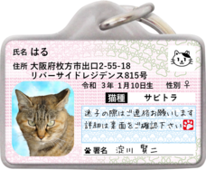 Daydream Labのプレスリリース画像10