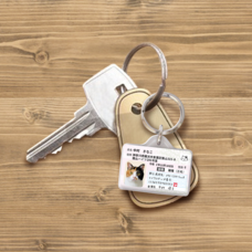 Daydream Labのプレスリリース画像16