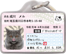 Daydream Labのプレスリリース画像7