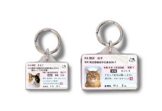 Daydream Labのプレスリリース画像14