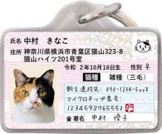 Daydream Labのプレスリリース画像1