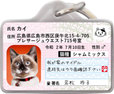 Daydream Labのプレスリリース画像9