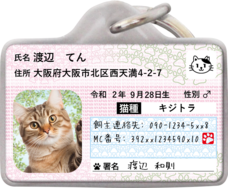 Daydream Labのプレスリリース画像4