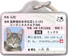 Daydream Labのプレスリリース画像17