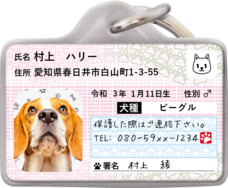 Daydream Labのプレスリリース画像6