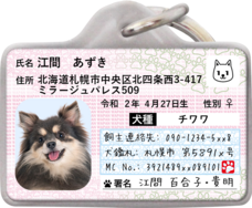 Daydream Labのプレスリリース画像7