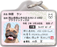 Daydream Labのプレスリリース画像3