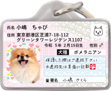 Daydream Labのプレスリリース画像14