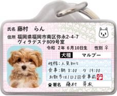 Daydream Labのプレスリリース画像4