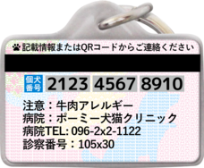 Daydream Labのプレスリリース画像12