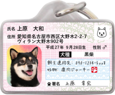 Daydream Labのプレスリリース画像10