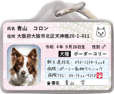 Daydream Labのプレスリリース画像8