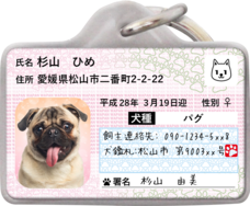 Daydream Labのプレスリリース画像13