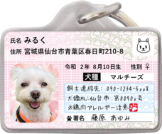 Daydream Labのプレスリリース画像19