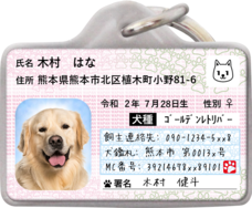 Daydream Labのプレスリリース画像2