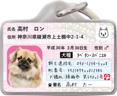 Daydream Labのプレスリリース画像9