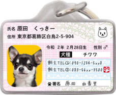 Daydream Labのプレスリリース画像11