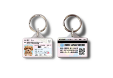 Daydream Labのプレスリリース画像16