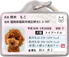 Daydream Labのプレスリリース画像1