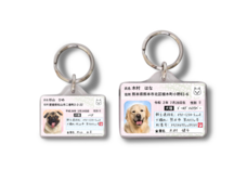 Daydream Labのプレスリリース画像17