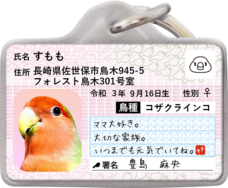 Daydream Labのプレスリリース画像7