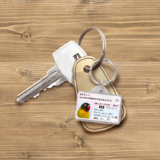 Daydream Labのプレスリリース画像10