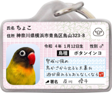 Daydream Labのプレスリリース画像6