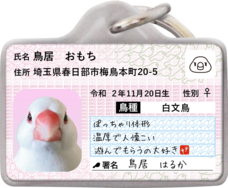 Daydream Labのプレスリリース画像1