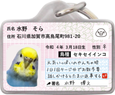 Daydream Labのプレスリリース画像8