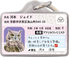 Daydream Labのプレスリリース画像9