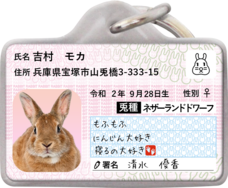 Daydream Labのプレスリリース画像1