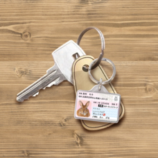 Daydream Labのプレスリリース画像10