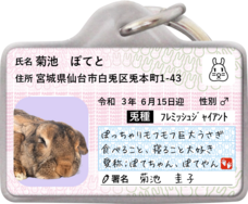 Daydream Labのプレスリリース画像9