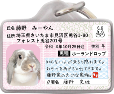 Daydream Labのプレスリリース画像7