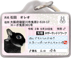 Daydream Labのプレスリリース画像8