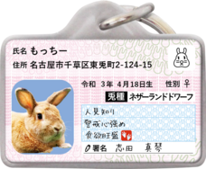 Daydream Labのプレスリリース画像6