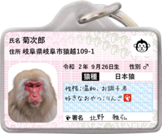 Daydream Labのプレスリリース画像1