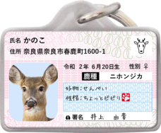 Daydream Labのプレスリリース画像1