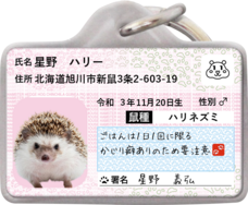 Daydream Labのプレスリリース画像8